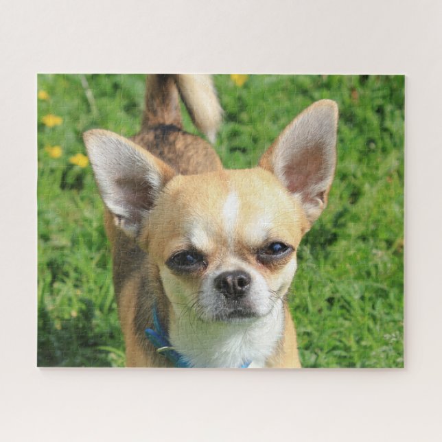 Tiny Chihuahua Puppy Dog Puzzle (Horizontal)