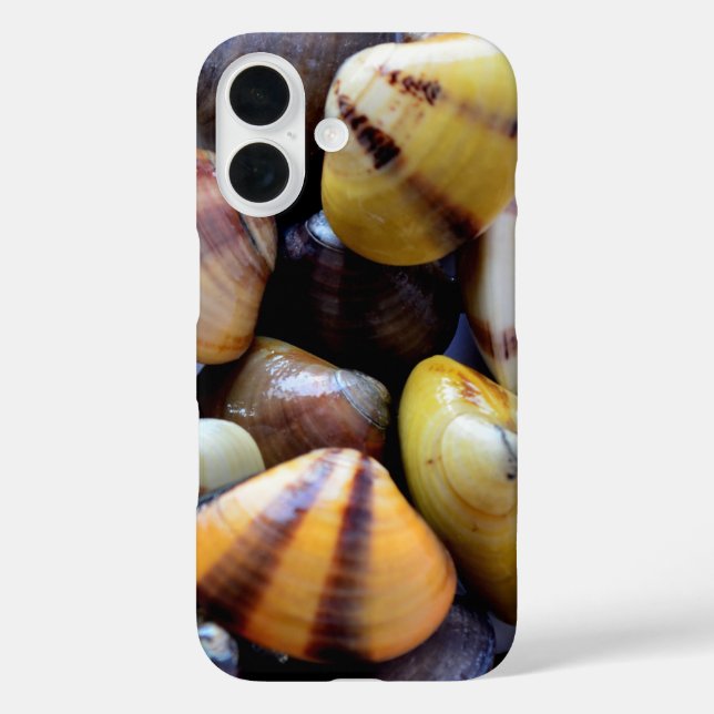 Tiny Colorful Clam Muscheln Case-Mate iPhone Hülle (Rückseite)