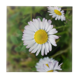 Tiny Daisies Fliese