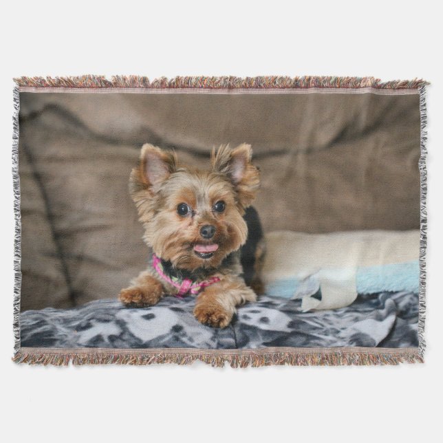 Tiny Dynao Decke (Vorderseite)