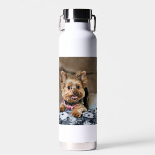 Tiny Dynao Trinkflasche
