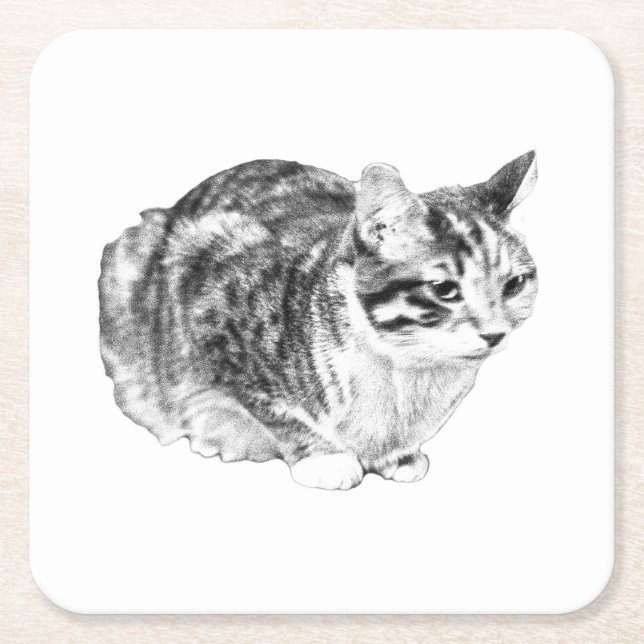 Tiny Gallery: Tabby on Cushion Rechteckiger Pappuntersetzer (Vorderseite)