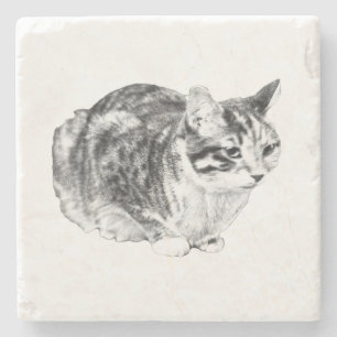 Tiny Gallery: Tabby on Cushion Steinuntersetzer