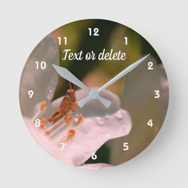 Tiny Grasshopper auf Azalea Blume Personalisiert   Runde Wanduhr (Vorderseite)