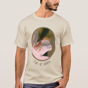 Tiny Grasshopper auf der Blume der weißen Azalea T-Shirt