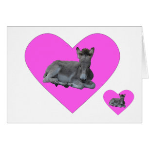 Tiny Grey Donkey Foal in Big Pink Heart