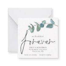 TINY-GRÖSSE bestimmt am Eukalyptus-Rett für den Ze