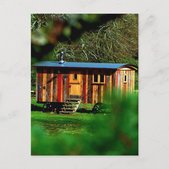 TINY HOUSE NIEDLICH POSTCARD POSTKARTE (Vorderseite)