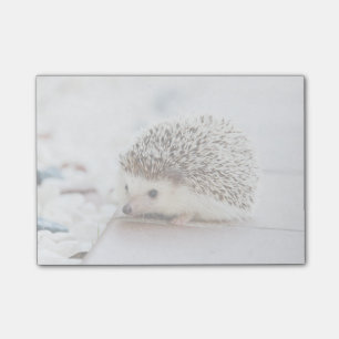 Tiny Igel Post-it Klebezettel