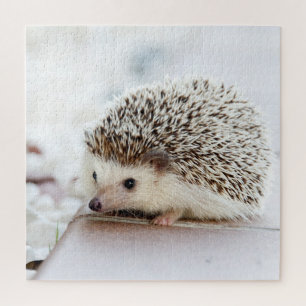 Tiny Igel Puzzle