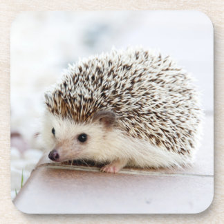 Tiny Igel Untersetzer
