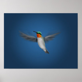 Tiny Illustriert Hummingbird Poster