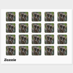 Tiny Marmoset Titans unter den Zweigen, Quadratischer Aufkleber