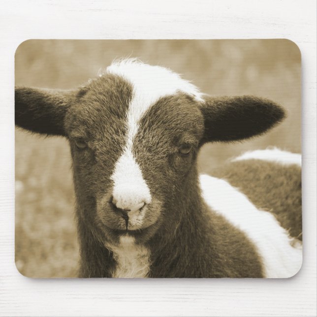 Tiny Mousepad (Vorne)