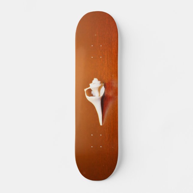 Tiny Muschel Skateboard (Vorderseite)