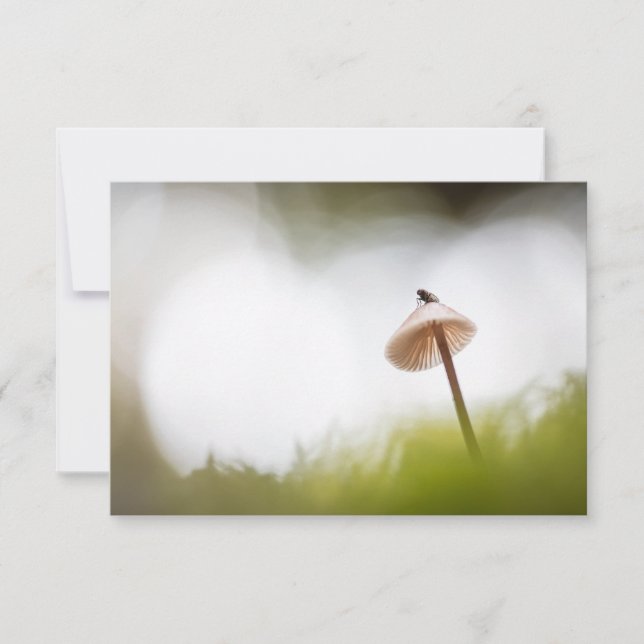 Tiny Mushroom Nature Foto Card (Vorderseite)