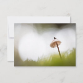 Tiny Mushroom Nature Foto Card
