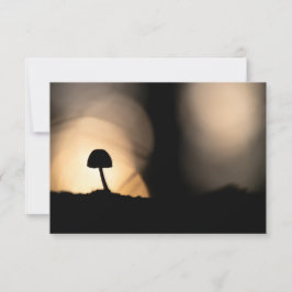 Tiny Mushroom Nature Foto Card
