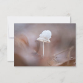 Tiny Mushroom Nature Foto Card