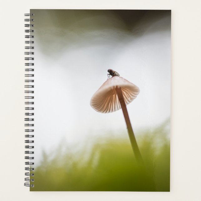 Tiny Mushroom Nature Foto Card Planer (Vorderseite)