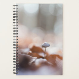 Tiny Mushroom Nature Foto Card Planer
