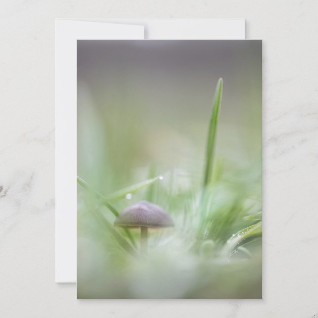 Tiny Mushroom Nature Foto Feiertagskarte (Vorderseite)