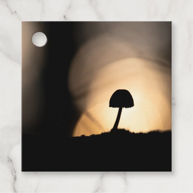 Tiny Mushroom Nature Foto Geschenkanhänger (Vorderseite)