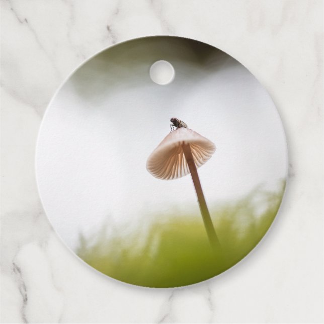 Tiny Mushroom Nature Foto Geschenkanhänger (Vorderseite)