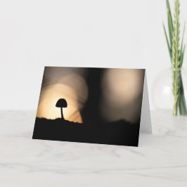 Tiny Mushroom Nature Foto Karte