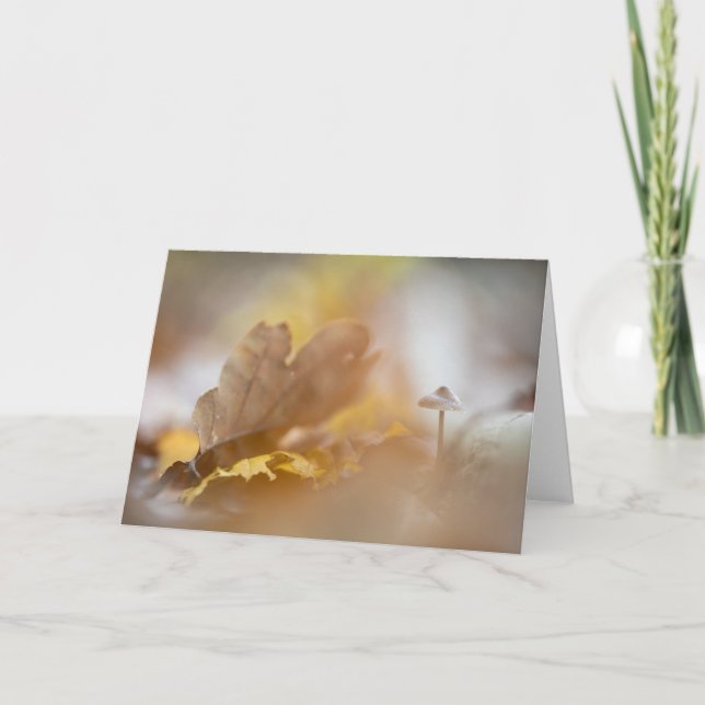 Tiny Mushroom Nature Foto Karte (Vorderseite)