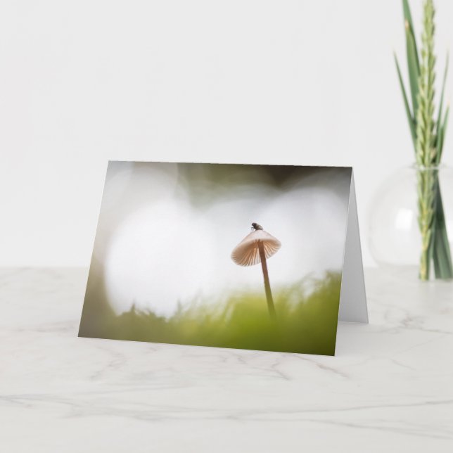 Tiny Mushroom Nature Foto Karte (Vorderseite)