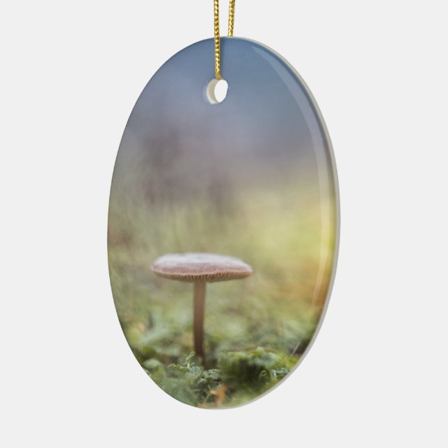 Tiny Mushroom Nature Foto Keramik Ornament (Links)