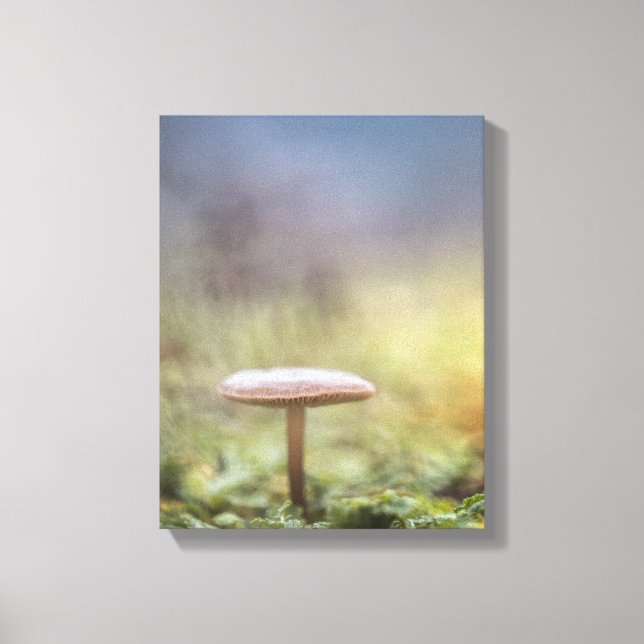 Tiny Mushroom Nature Foto Leinwanddruck (Vorderseite)
