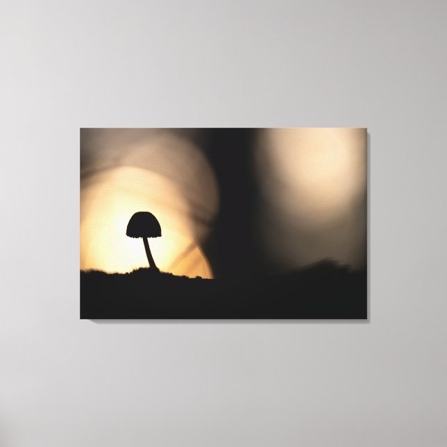 Tiny Mushroom Nature Foto Leinwanddruck (Vorderseite)