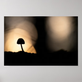 Tiny Mushroom Nature Foto Poster