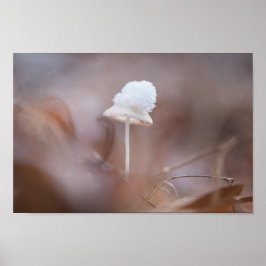 Tiny Mushroom Nature Foto Poster