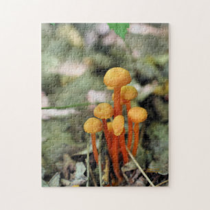 Tiny Orange Wild Mushrooms Nature Puzzle