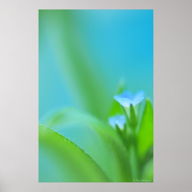 Tiny Perfection Poster (Vorne)