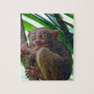 Tiny Philippine tarsier Puzzle