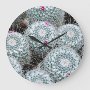Tiny Pink Blume Cactus Pflanze Große Wanduhr