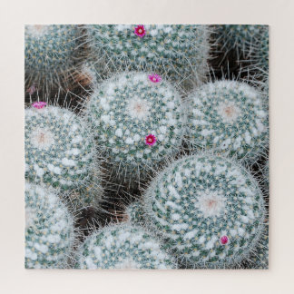 Tiny Pink Blume Cactus Pflanze Puzzle