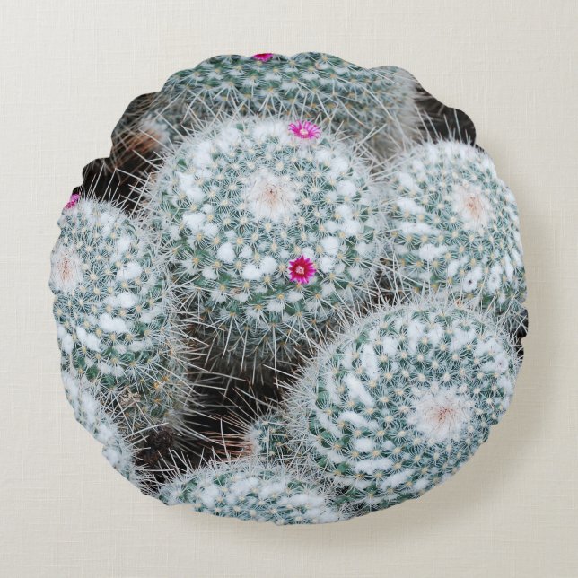 Tiny Pink Blume Cactus Pflanze Rundes Kissen (Vorderseite)