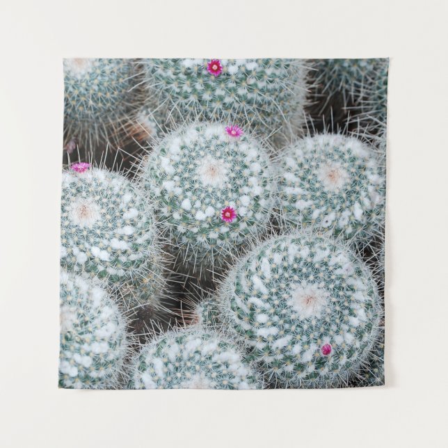 Tiny Pink Blume Cactus Pflanze Wandteppich (Vorderseite)