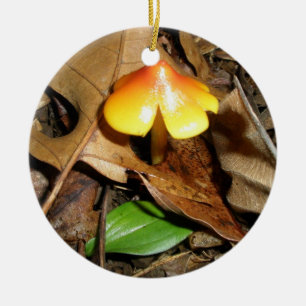 Tiny Red Yellow Mushroom Weihnachtsschmuck
