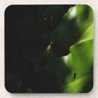 Tiny Spider Untersetzer