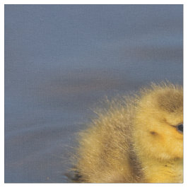 Tiny Swimmer: Kanadisches Gänsedchen Stoff