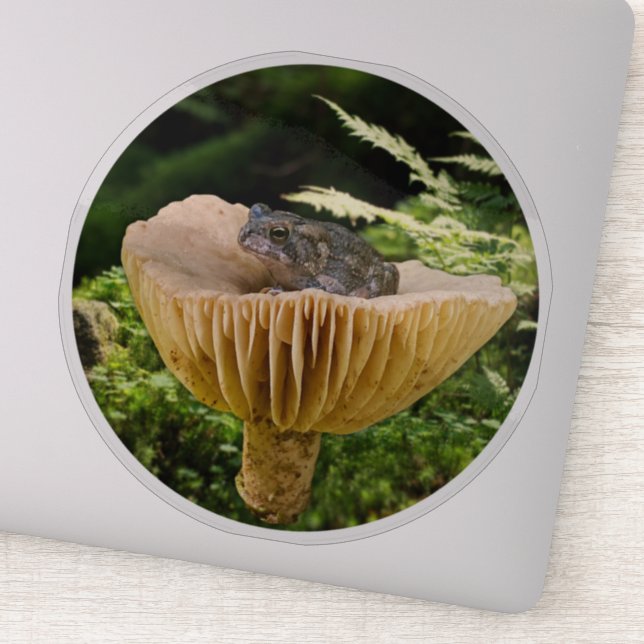 Tiny Toad wir haben Mini Mushroom with Ferns Aufkleber (Detail)