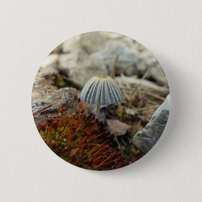 Tiny Toadstool Button (Vorderseite)
