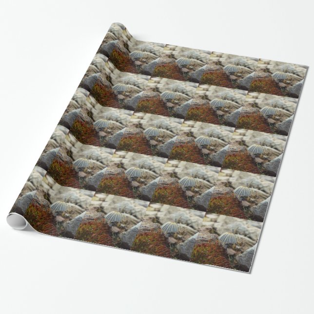 Tiny Toadstool Geschenkpapier (Ungerollt)
