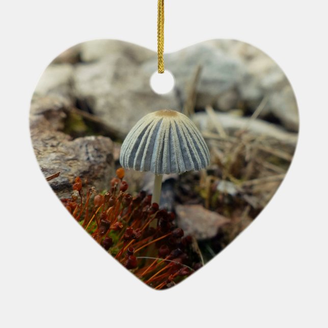Tiny Toadstool Keramik Ornament (Hinten)